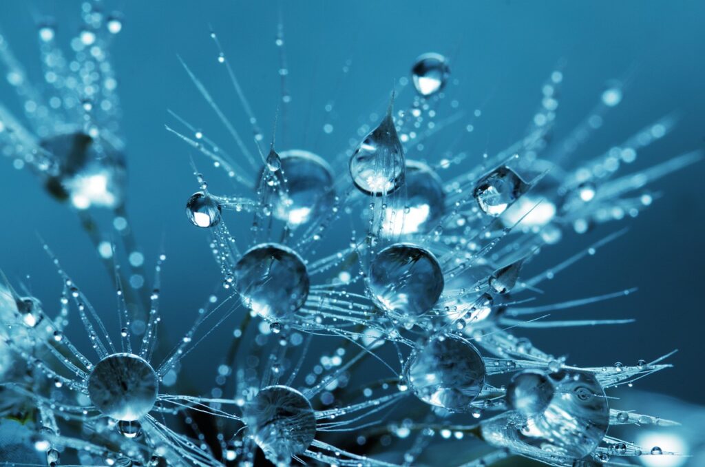 water, drops, blue, liquid, clear, macro, nature background, wet, splash, windows wallpaper, beautiful wallpaper, rain, nature wallpaper, bubble, cool backgrounds, hd wallpaper, 4k wallpaper 1920x1080, free wallpaper, beautiful nature, purity, aqua, 4k wallpaper, transparent, desktop backgrounds, light, free background, laptop wallpaper, dew, mac wallpaper, full hd wallpaper, wallpaper, wallpaper 4k, wallpaper hd, nature, background